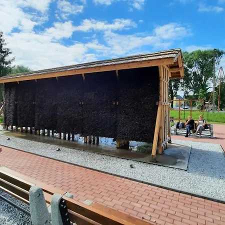 Pokoje Nad Welem Lidzbark Lejlighed Lidzbark Welski