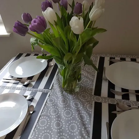 Pokoje Nad Welem Lidzbark Lejlighed Lidzbark Welski